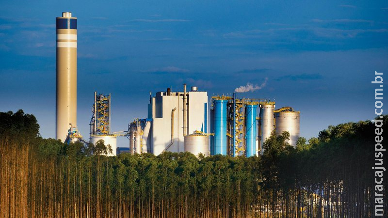 Com investimento de R$ 14,7 bilhões, Mato Grosso do Sul contará com nova fábrica de celulose