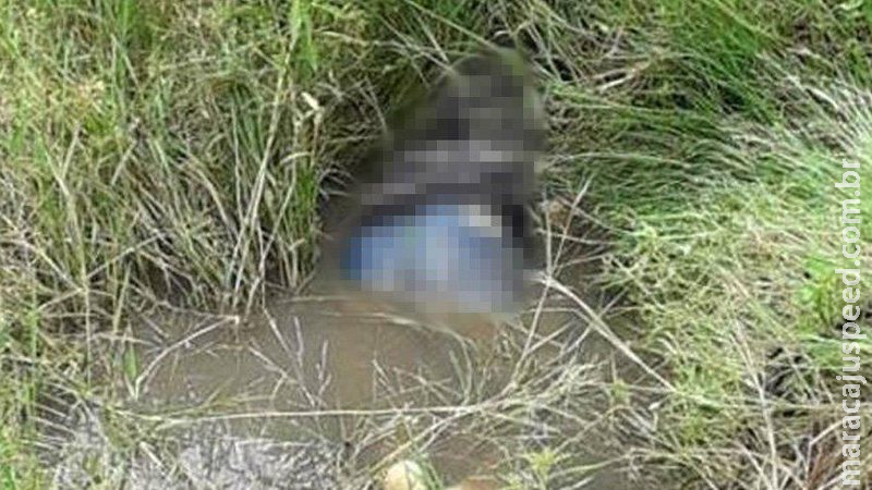 Corpo de homem com as calças abaixadas é encontrado em córrego nas Moreninhas Corpo de homem com as calças abaixadas é encontrado em córrego nas Moreninhas