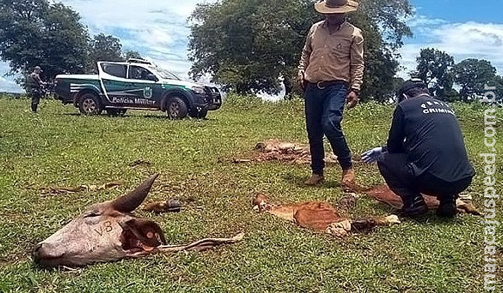 Delegado que atuou na fronteira assume delegacia especializada em crimes rurais em MS Delegado que atuou na fronteira assume delegacia especializada em crimes rurais em MS