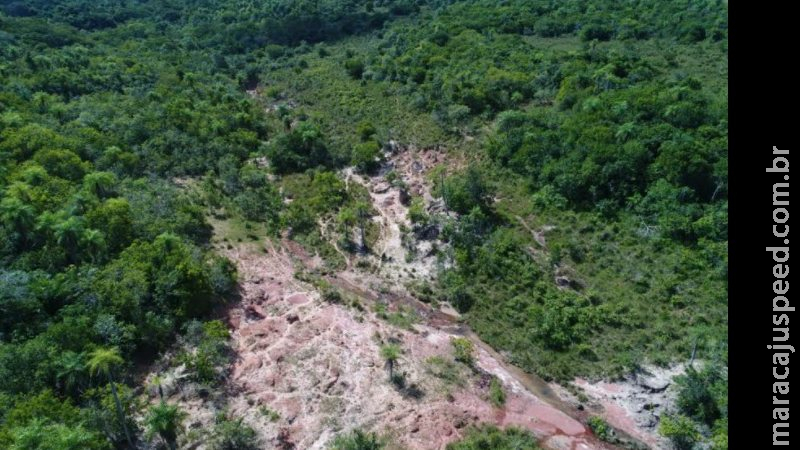 Fazendeiro é multado em R$ 25 mil por degradar matas ciliares do Rio da Prata Fazendeiro é multado em R$ 25 mil por degradar matas ciliares do Rio da Prata