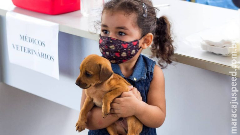 Feira de adoção devolve alegria para 75 animais que ganharam um lar em Campo Grande Feira de adoção devolve alegria para 75 animais que ganharam um lar em Campo Grande