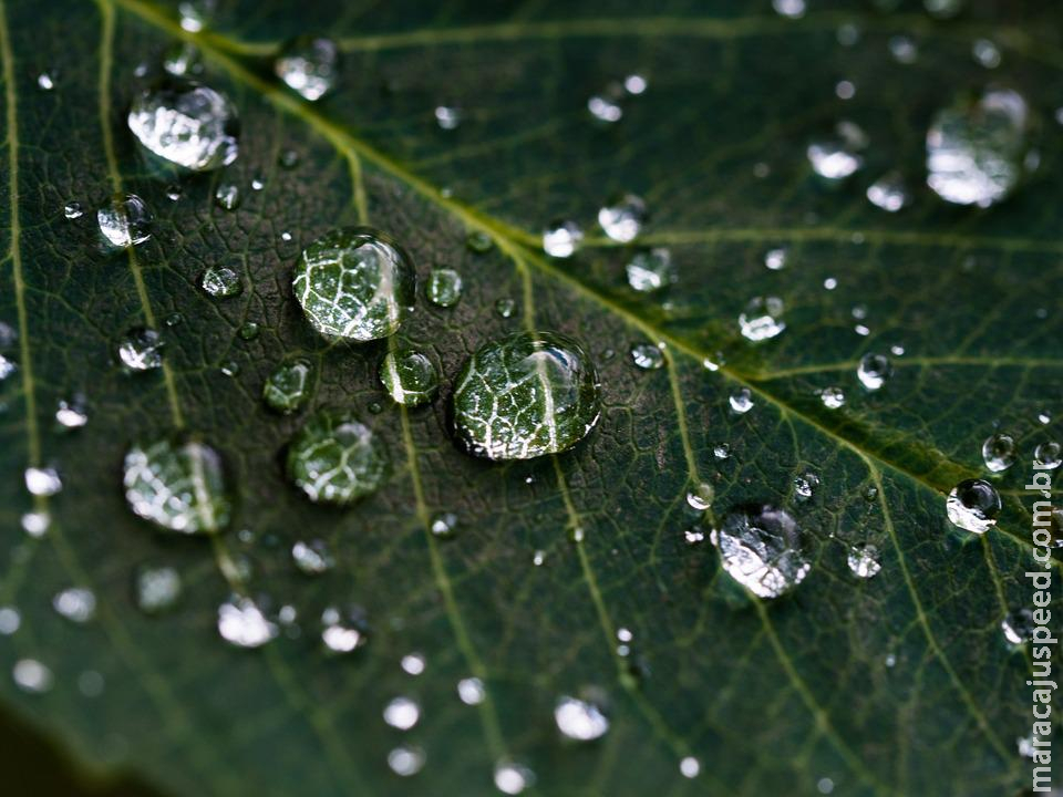  Frente fria vai levar chuva a lavouras de milho? Veja a previsão 