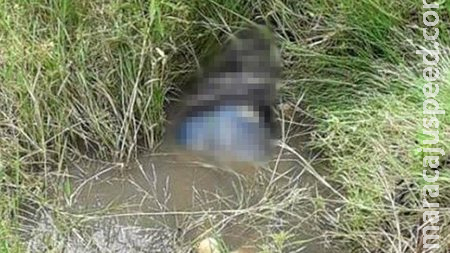  Homem com as calças abaixadas é encontrado morto em córrego nas Moreninhas 