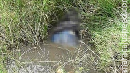 Homem com as calças abaixadas é encontrado morto em córrego nas Moreninhas Homem com as calças abaixadas é encontrado morto em córrego nas Moreninhas