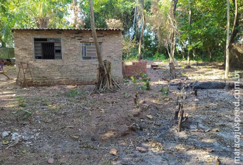 Homem é multado em R$ 5 mil por desmatar e construir casa em área protegida Homem é multado em R$ 5 mil por desmatar e construir casa em área protegida