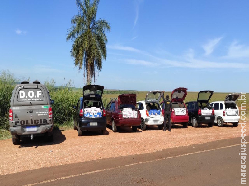 Maracaju: Seis veículos que seguiam para Campo Grande com mercadorias ilegais foram apreendidos pelo DOF Maracaju: Seis veículos que seguiam para Campo Grande com mercadorias ilegais foram apreendidos pelo DOF