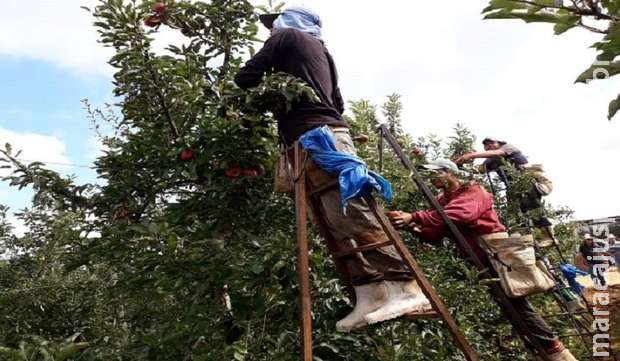Mesmo na pandemia, mais de 100 mil trabalhadores foram atendidos pela Funtrab em 2021 Mesmo na pandemia, mais de 100 mil trabalhadores foram atendidos pela Funtrab em 2021