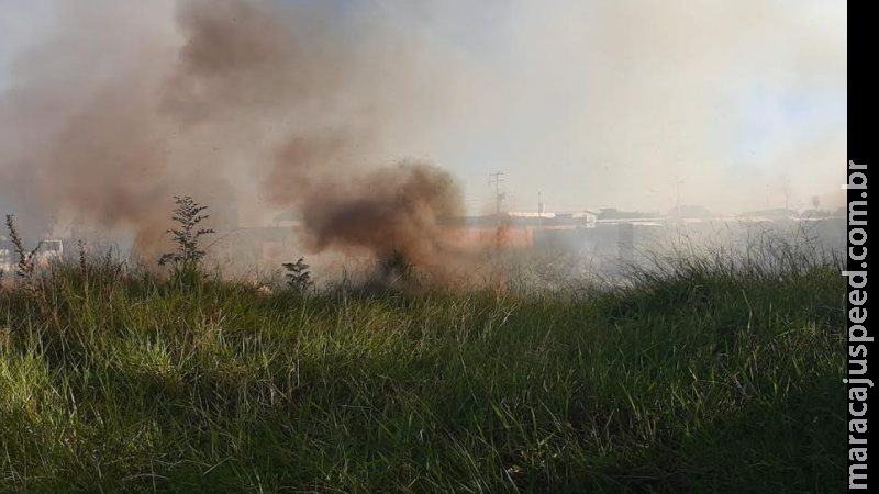 Moradora é multada em R$ 4 mil por incêndio em terreno que colocava casas vizinhas em risco Moradora é multada em R$ 4 mil por incêndio em terreno que colocava casas vizinhas em risco