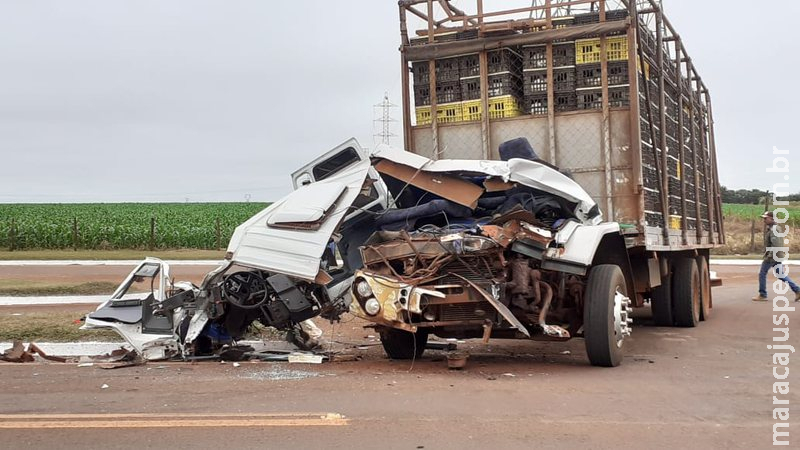Motorista perde o freio e caminhão carregado com frangos colide contra carreta na BR-060 Motorista perde o freio e caminhão carregado com frangos colide contra carreta na BR-060