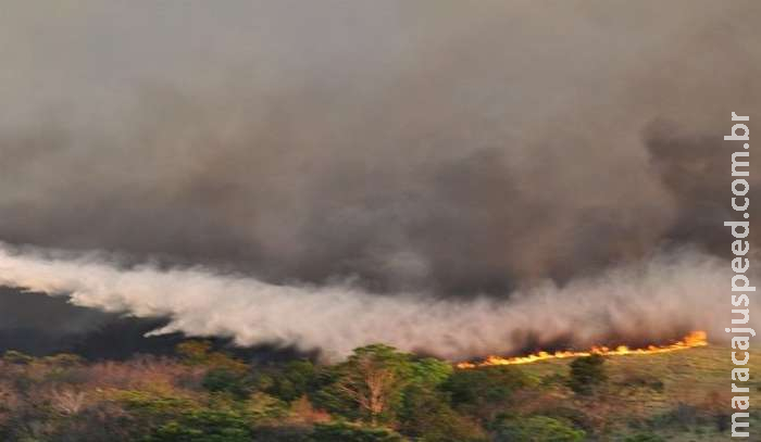 MS declara estado de emergência ambiental por seis meses MS declara estado de emergência ambiental por seis meses