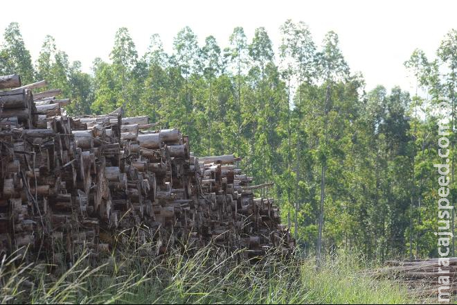 MS está perto de confirmar seu maior investimento desta década MS está perto de confirmar seu maior investimento desta década
