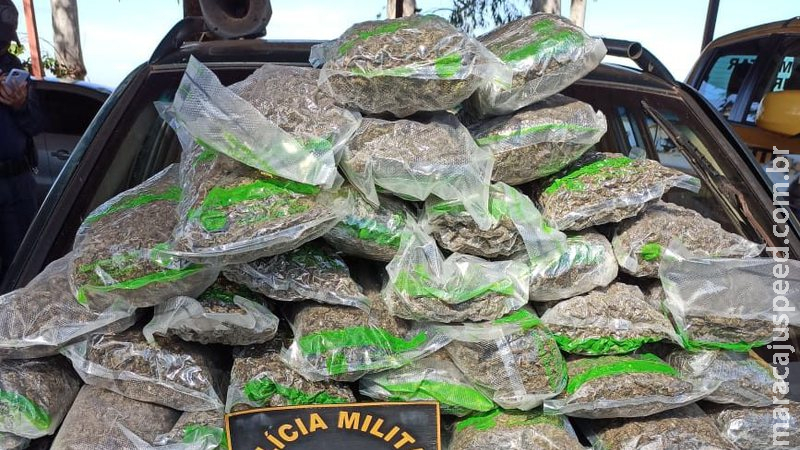 Polícia Militar Rodoviária faz apreensão de 17 quilos e prendeu um na MS 276 Polícia Militar Rodoviária faz apreensão de 17 quilos e prendeu um na MS 276