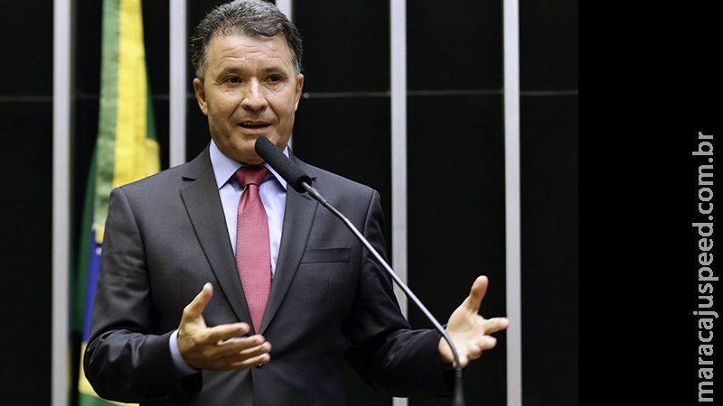 Relator protocola parecer pela admissibilidade da reforma administrativa