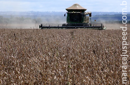 Sendo quarto maior município pecuário do Brasil, Sidrolândia, ampliou em 1,6% a área de soja. Sendo quarto maior município pecuário do Brasil, Sidrolândia, ampliou em 1,6% a área de soja.
