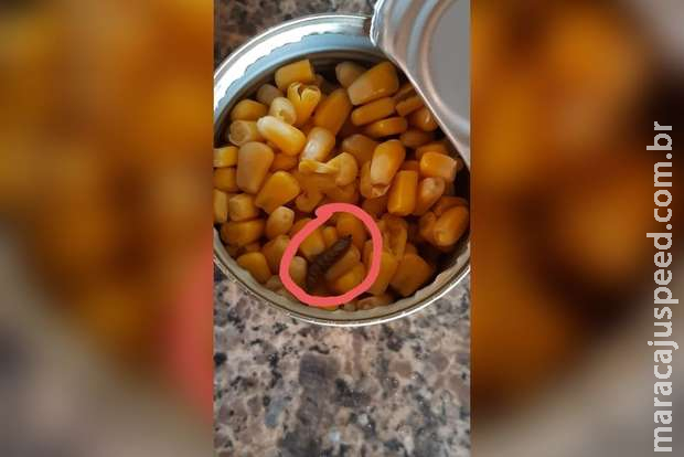 Surpresa: consumidora encontra larva em lata de milho em Campo Grande Surpresa: consumidora encontra larva em lata de milho em Campo Grande