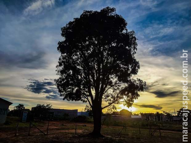 Terça de tempo firme, mas temperaturas amenas em MS Terça de tempo firme, mas temperaturas amenas em MS