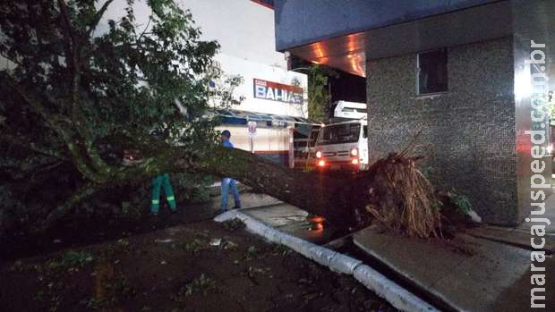 Após estragos com a chuva, Naviraí decreta situação de emergência Após estragos com a chuva, Naviraí decreta situação de emergência