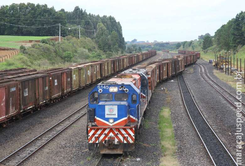 Barbosinha e Renato Câmara defendem autorregulação para agilizar traçado da Ferroeste Barbosinha e Renato Câmara defendem autorregulação para agilizar traçado da Ferroeste