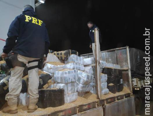 Caminhoneiro é preso com 10 toneladas de maconha escondidas em carga de soja