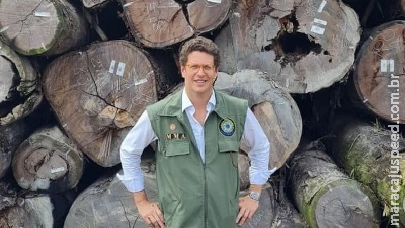 Cármen atende PF e suspende processos sobre extração de ilegal de madeira Cármen atende PF e suspende processos sobre extração de ilegal de madeira