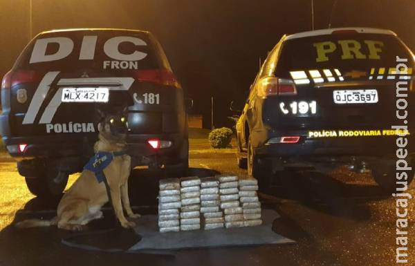 Cocaína que saiu de Campo Grande no assoalho de carro é apreendida em SC