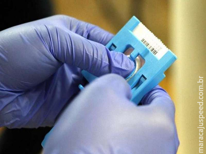 Coleta de DNA de familiares para localização de desaparecidos segue até sexta-feira Coleta de DNA de familiares para localização de desaparecidos segue até sexta-feira