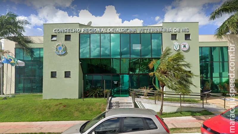 Conselho de Veterinária e Zootecnia convoca para eleições em MS Conselho de Veterinária e Zootecnia convoca para eleições em MS