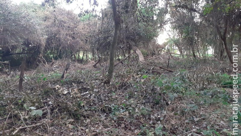 Dois são multados em R$ 10 mil por derrubada de matas ciliares de córrego em Bonito Dois são multados em R$ 10 mil por derrubada de matas ciliares de córrego em Bonito