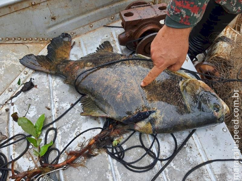 Em Deodápolis PMA desmonta acampamento e prende e autua em R$ 1 mil um pescador profissional por pescar com petrechos ilegais e apreende barco, motor, pescado e 7 redes 