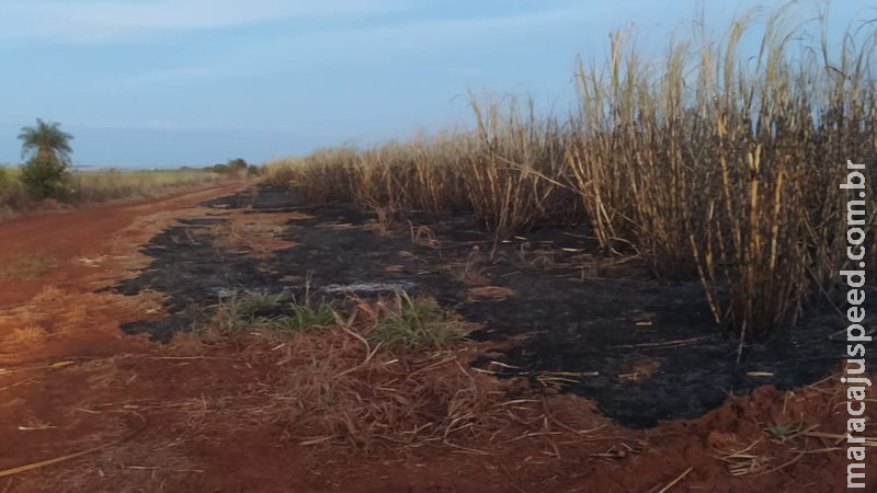 Empreiteira é multada em R$ 1,47 milhão por incêndio em 1.470 hectares de cana-de-açúcar