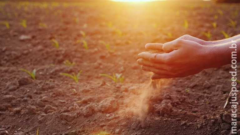 Garantia-Safra autoriza o pagamento para mais de 380 mil agricultores no ciclo da safra 2019/2020