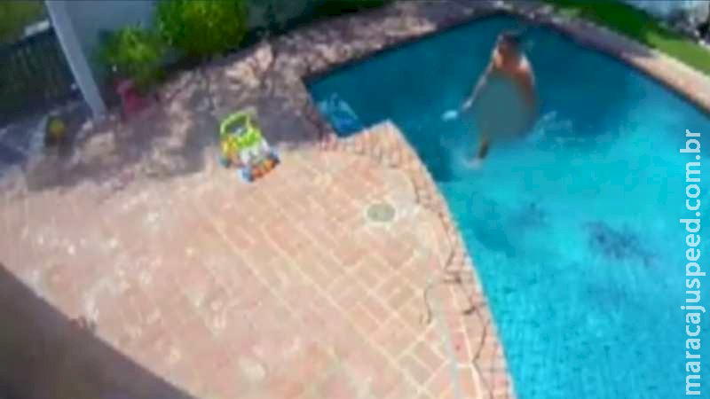 Homem é preso após invadir casa, nadar pelado e matar animais de estimação dos donos Homem é preso após invadir casa, nadar pelado e matar animais de estimação dos donos
