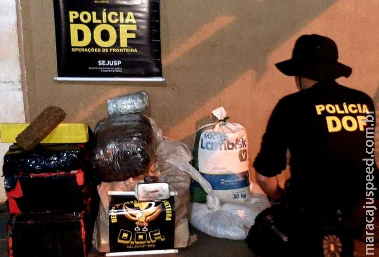 Mais de 160 kg de drogas são apreendidas em quitinete usada de entreposto Mais de 160 kg de drogas são apreendidas em quitinete usada de entreposto
