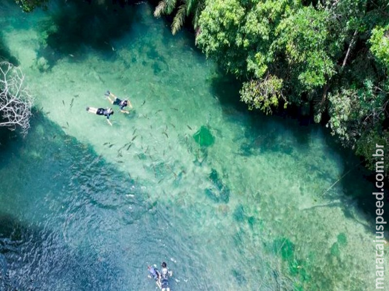 Margens do Rio Formoso podem se tornar áreas de preservação permanente Margens do Rio Formoso podem se tornar áreas de preservação permanente