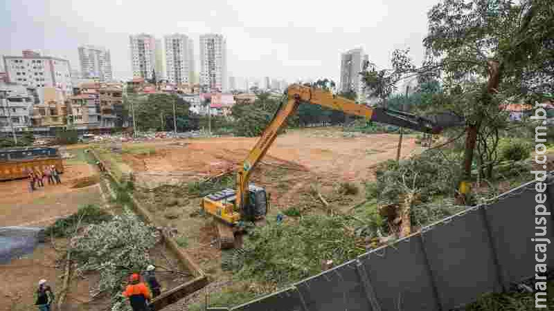 Metrô de SP derruba 145 árvores para obras na zona leste; vizinhos protestam Metrô de SP derruba 145 árvores para obras na zona leste; vizinhos protestam