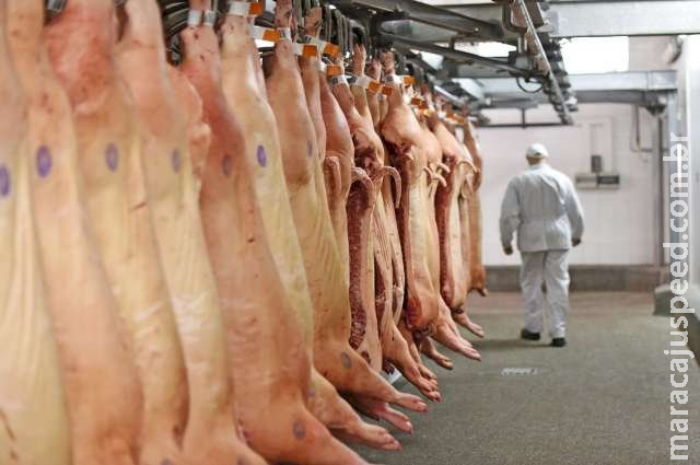 MS atinge recorde na exportação de carne suína em 2021 MS atinge recorde na exportação de carne suína em 2021