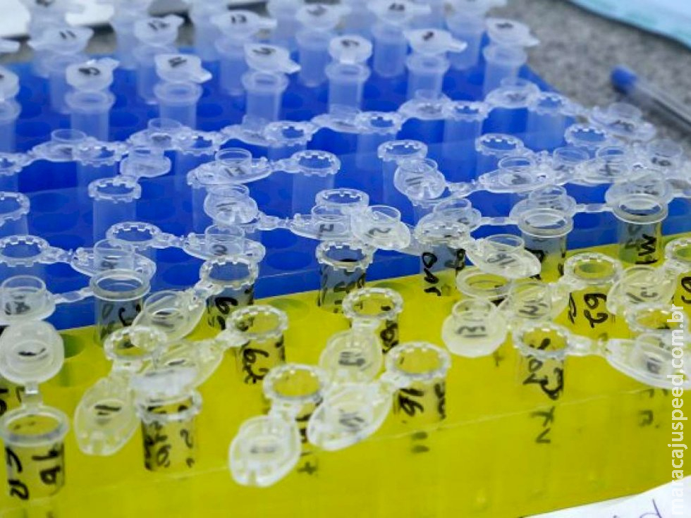 MS confirma mais de 2,1 mil novos casos de coronavírus e soma 41 óbitos MS confirma mais de 2,1 mil novos casos de coronavírus e soma 41 óbitos