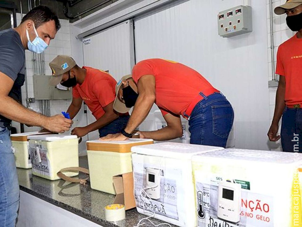 MS é líder no ranking nacional e bate recorde na aplicação de vacina MS é líder no ranking nacional e bate recorde na aplicação de vacina