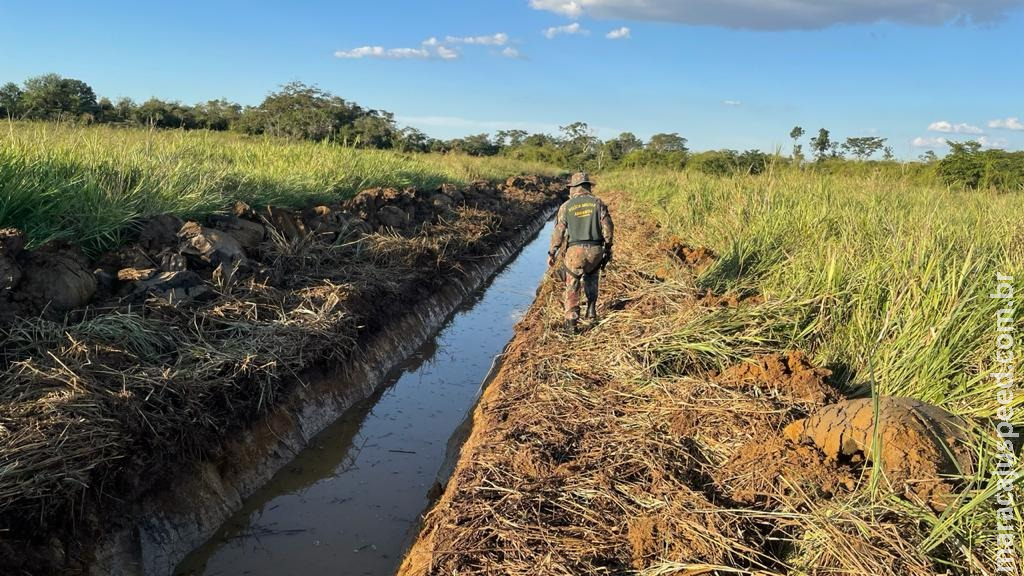 PMA multa empresa em R$ 20 mil por construção de drenos em área protegida