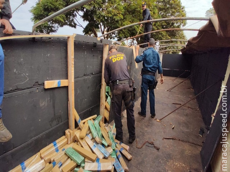 Polícia apreende 1 tonelada de drogas em fundo falso de carreta Polícia apreende 1 tonelada de drogas em fundo falso de carreta