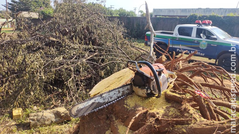 Polícia autua morador em R$ 1 mil por posse de motosserra ilegal Polícia autua morador em R$ 1 mil por posse de motosserra ilegal