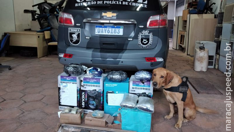 Polícia encontra fuzil enviado pelos Correios em Campo Grande Polícia encontra fuzil enviado pelos Correios em Campo Grande