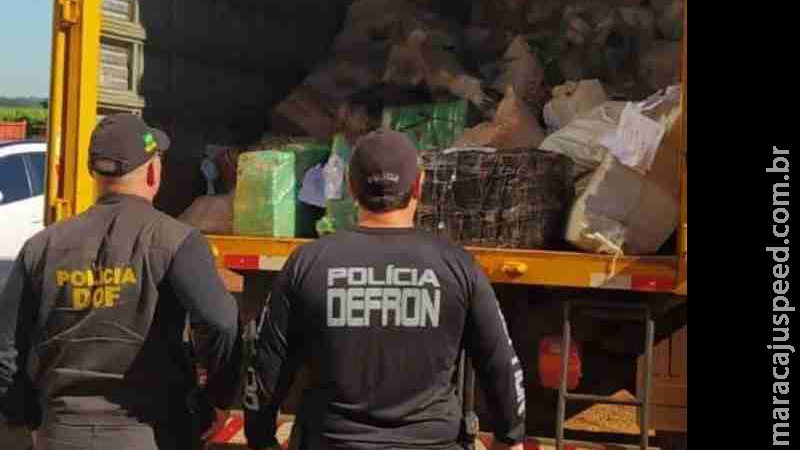 Polícia incinera mais de 40 toneladas de drogas apreendidas na fronteira