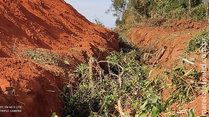 Proprietário rural é autuado por derrubar árvores e enterrar a madeira ilegalmente Proprietário rural é autuado por derrubar árvores e enterrar a madeira ilegalmente