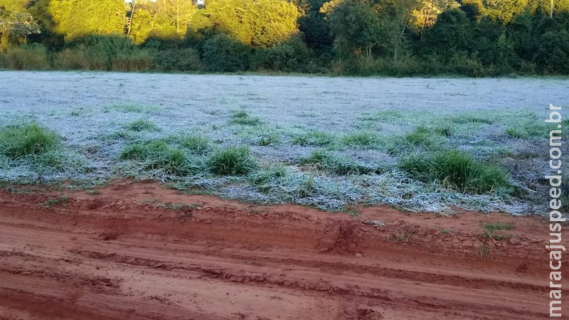 Quarta-feira registra geada e sensação de até -11ºC em cidades de MS Quarta-feira registra geada e sensação de até -11ºC em cidades de MS