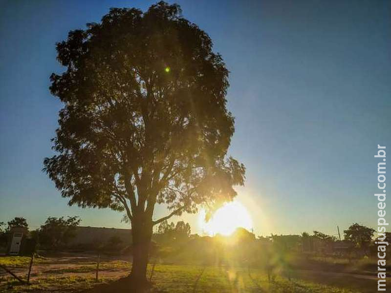 Semana começa com tempo gelado, mas calor deve predominar em MS Semana começa com tempo gelado, mas calor deve predominar em MS