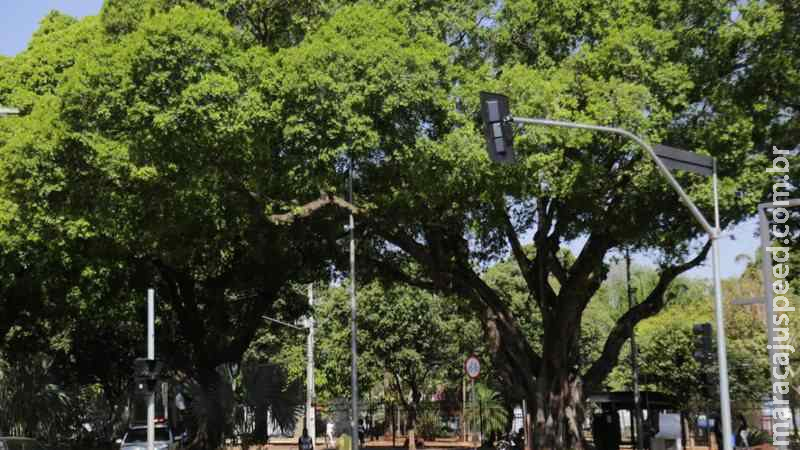 Semana do Meio Ambiente será marcada por Blitze ecológico e Drive Thru de reciclagem em Campo Grande Semana do Meio Ambiente será marcada por Blitze ecológico e Drive Thru de reciclagem em Campo Grande