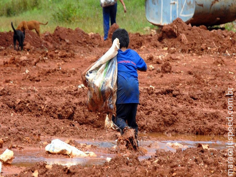 Trabalho infantil no mundo aumenta pela primeira vez em 20 anos Trabalho infantil no mundo aumenta pela primeira vez em 20 anos