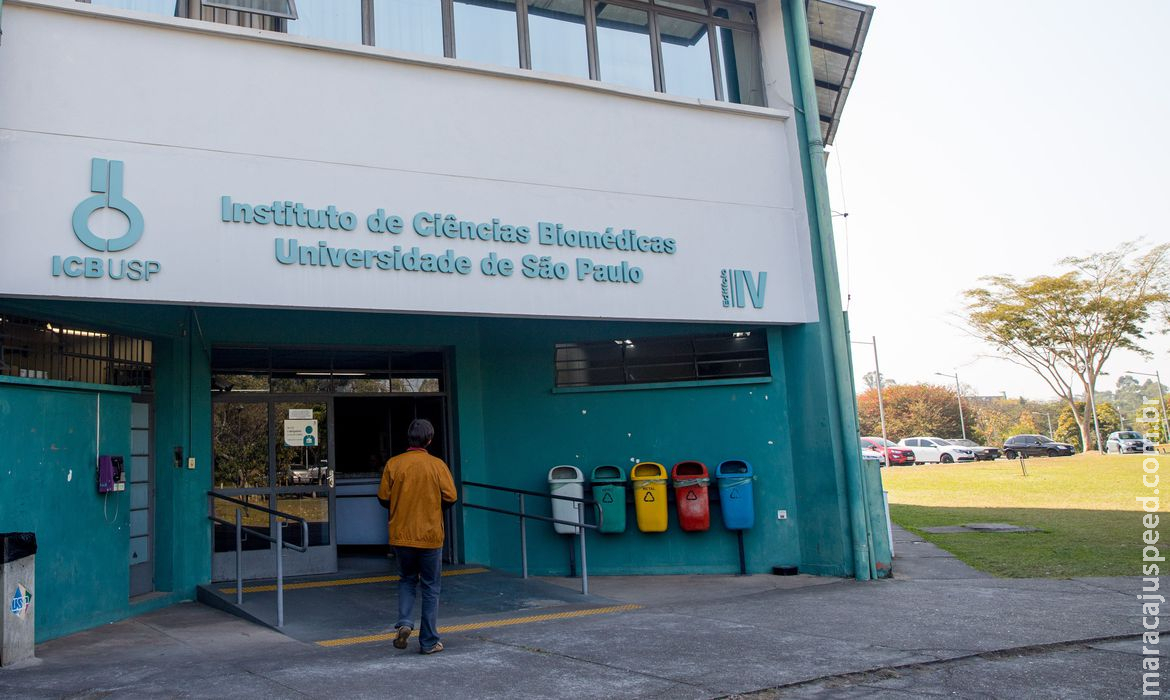 USP divulga pesquisas de cientistas da instituição em evento online