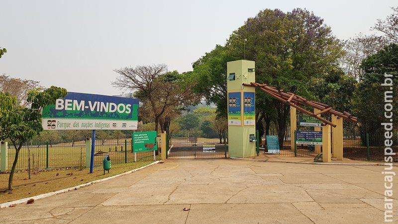 Agesul suspende por 60 dias contrato de R$ 803 mil de reforma no Parque das Nações Agesul suspende por 60 dias contrato de R$ 803 mil de reforma no Parque das Nações